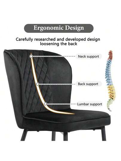 Dining Chairs view 5