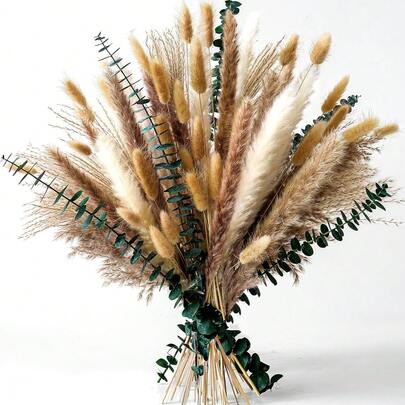 70 件天然干花绿色新鲜桉树叶花束波西米亚风格家居餐桌花瓶装饰真正的潘帕斯花束餐桌装饰品