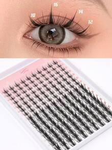 160 Stücke 3D Ahornblatt-Effekt Lockige Falsche Wimpern, Neue Geflügelte Katzenaugen Wimpern, 9-16mm Einzelne Wimpernbüschel, Natürliches Aussehen & Extra Dick & Intelligent & Super Weich & Ultra Leicht Wiederverwendbares Wimpernverlängerungs-Set, Geeignet für Anfänger, Alltag, Hochzeit, Date, Party, Musikfestival, Halloween