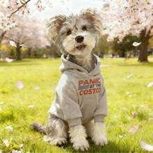 Poodle & Teddy Bear Dog Hoodie, American Print Pet Sweatshirt, Schnauzer Can Easily Pull Off Street Style, Daily Warmth And Pet Must-Have, Stylish And Fashionable Suitable For Small To Medium Dogs, Machine Washable - Grey - View 7