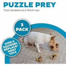 Outward Hound Hide A Birthday Cake, Plush Puzzle Birthday Themed Dog Toy - Squirrel - View 13