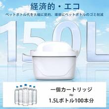 Water Filter Cartridges - Initial - View 4