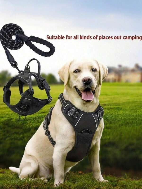 Upgraded Pet Leash & Harness Set For Walking Dogs, Cat Chest Strap, Walking, Anti-Escape, Anti-Bite, Durable, Reflective, Breathable, Suitable For Small/Medium/Large Dogs
