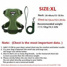 New Printed Pet Harness + Leash Set, Breathable Mesh Adjustable Reflective Small Dog Chest Harness, Soft & Comfortable Puppy Walking Lead