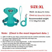 New Printed Pet Chest Back Strap + Leash Set Breathable Mesh With Reflective Strip, Adjustable, Soft And Comfortable Walking Rope For Small Dogs
