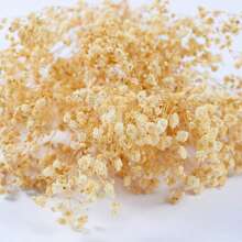 13束/65支以上/3000多朵天然永生满天星花束，迷你干花，可用于创意娱乐、发饰、压花、婚礼花冠、卡片制作、室内装饰等。