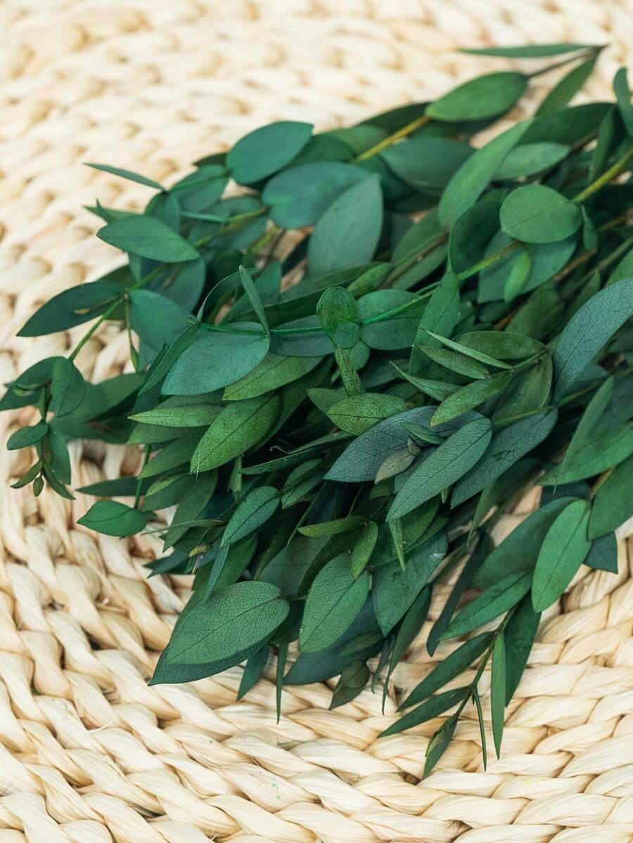 15/30/60pcs Eucalyptus Leaves, For Soap Making, DIY, Dried Flowers, Preserved Flowers, Home Decor, Cake Decoration - Green - View 1