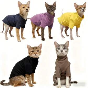 1-Piece Pack "Pet Street Essentials" High-Neck Pet Sports Shirt For Cats And Dogs. Skin-Friendly, Versatile Short Top With A Chic Design. Xinyongfeng Pet Fashion Item: High-Neck Pet T-Shirt, Soft And Skin-Friendly, Suitable For Both Cats And Dogs. Clothing. Pet Fashion Icon. High-Neck Short Pet Sports Shirt For Cats And Dogs, Tailored Fit.