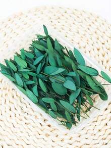 15/30/60pcs Eucalyptus Leaves, For Soap Making, DIY, Dried Flowers, Preserved Flowers, Home Decor, Cake Decoration - Green - View 3