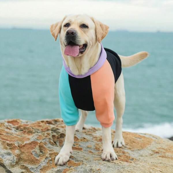 Hundemode, Hundepullover, Hundehoodie Haustierbekleidung, Haustier-Sweatshirt, Haustier-Hoodie, warme Hundemode geeignet für kleine, mittlere und große Hunde, geeignet für Frühling, Herbst und Winter, Farbblockstil