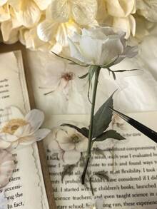 40 pezzi Adesivi assortiti con motivo floreale, colore bianco, adesivi decorativi con margherite e rose per fai da te, decorazione di diari e articoli scolastici