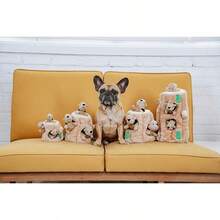 Outward Hound Hide A Birthday Cake, Plush Puzzle Birthday Themed Dog Toy - Squirrel - View 15