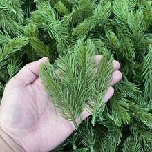 1支/10支/40支，人造松针，用于DIY圣诞花环和家居花园装饰、圣诞礼盒贺卡装饰、人造景观装饰、水族箱装饰、节日装饰、家居装饰、仿真树叶、松枝、耐用人造植物、逼真树叶、工艺用品、假松枝、家居装饰师、活动策划师 - 彩色 - 查看 4