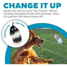 Outward Hound Tail Teaser Replacement Lure For Dog Teaser Wand, Black - 狐狸 - 查看 1