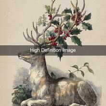 1pc Framed/Unframed Vintage Christmas Deer Cozy Canvas Poster Retro Reindeer Festival Rustic Wall Art Print Minimalist Winter Xmas Holiday Farmhouse Aesthetic Decor Painting For Dorm,Living Room,Bedroom,Modern Home Decoration - Multicolor - View 5