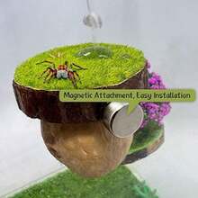 Cachette d'araignée sauteuse, habitat magnétique de cachette d'araignée sauteuse, plateforme d'escalade pour araignée, accessoire de clôture d'araignée fait main à partir de matériaux naturels