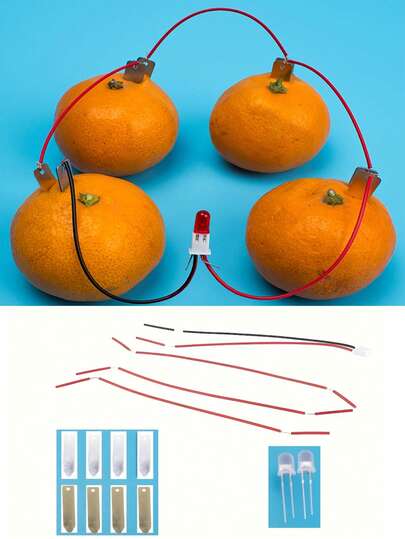 Kit de ciencia de batería de frutas DIY - Fuente de alimentación hecha a mano para experimentos DIY, adecuada para estudiantes de primaria y secundaria. Incluye cuerda roja y negra, pinzas metálicas y puntos numerados. Juguete educativo de ciencia | Construcción resistente.