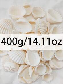 100g/150g/200g/300g/400g/500g Marine Stil weiß gestreifte Muscheln DIY Material, natürliche Schnecke Mikrolandschaft Aquarium Deko, Mittelmeer Windspiel Fotorahmen Zubehör