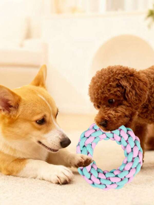 Macaron-Colored Braided Pet Knot Toy Set, Durable For Chewing And Teeth Cleaning, Interactive And Entertaining To Relieve Boredom. With Multiple Shaped Knot Combinations, It Is A Good Companion For Dogs To Chew, Clean Teeth, And Play, Serving As An Intelligent Pet Toy For Fun.