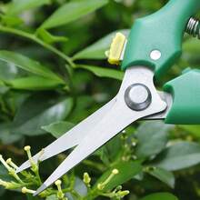 1 pieza Tijeras de podar de acero inoxidable para cosechar verduras, frutas, recortar ramas, recoger uvas, herramienta de jardinería