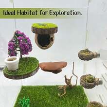 Cachette d'araignée sauteuse, habitat magnétique de cachette d'araignée sauteuse, plateforme d'escalade pour araignée, accessoire de clôture d'araignée fait main à partir de matériaux naturels