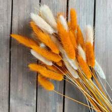 30/59/80/119 Pcs Natural Dried Rabbit Tail Flowers & Reed, Suitable For Bohemian Decor, Home, Wedding, DIY Crafts - Multicolor - View 8