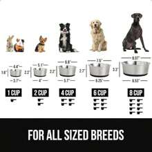 Pet Basic Bowls - Type4 - View 7