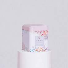 Hộp đựng trà kín, hộp đựng đồ nhà bếp, lọ thiếc, hộp thiếc hình vuông, hộp đựng kẹo bằng sắt, hộp đựng trà cổ điển - Nhiều màu - Xem 15