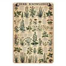 Vintage Herb Knowledge Metal Wall Art - Educational 2D Illustration Guide With Labeled Herbal Plants, Indoor & Outdoor Decor For Home, Bar, Cafe, Garden, Or Gym, 2D Flat, Perfect For Room Decor - 20,32*30,48 cm - Xem 4