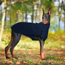 1pc Fashionable Dog Clothes, Solid Color Patchwork, Pet Dog Warm High Collar Patchwork Apparel, Suitable For Spring, Autumn And Winter - Multicolor - View 6