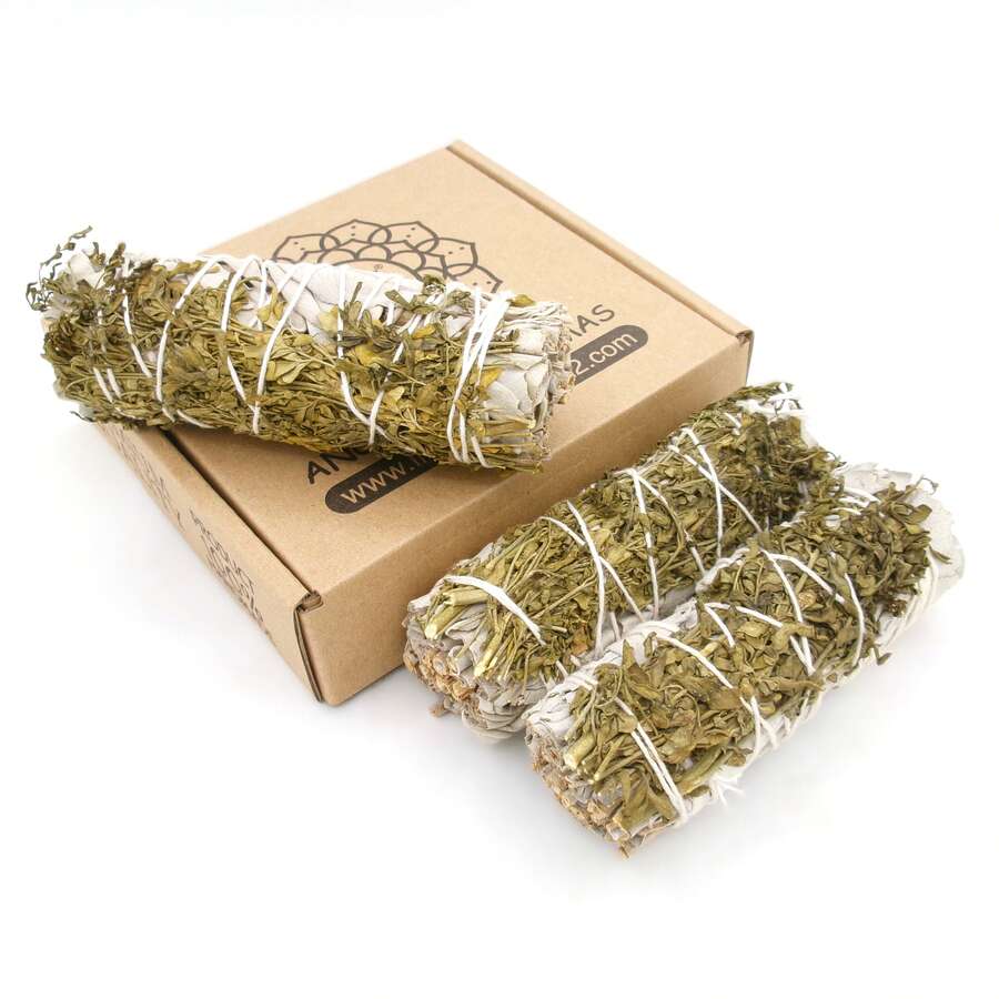 MUT22 Atados de Salvia Blanca - 3 Salvia Blanca con Ruda - Ver 1