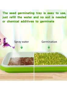 2 套“快速收获”种子发芽套件，适用于豌豆、豆类、小麦和宠物草本植物 - 带排水孔的水培发芽托盘（不含种子）