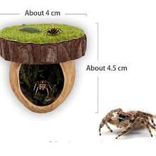 Cachette d'araignée sauteuse, habitat magnétique de cachette d'araignée sauteuse, plateforme d'escalade pour araignée, accessoire de clôture d'araignée fait main à partir de matériaux naturels