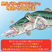 Fishing Tackle Boxes - 杏色 - 查看 4