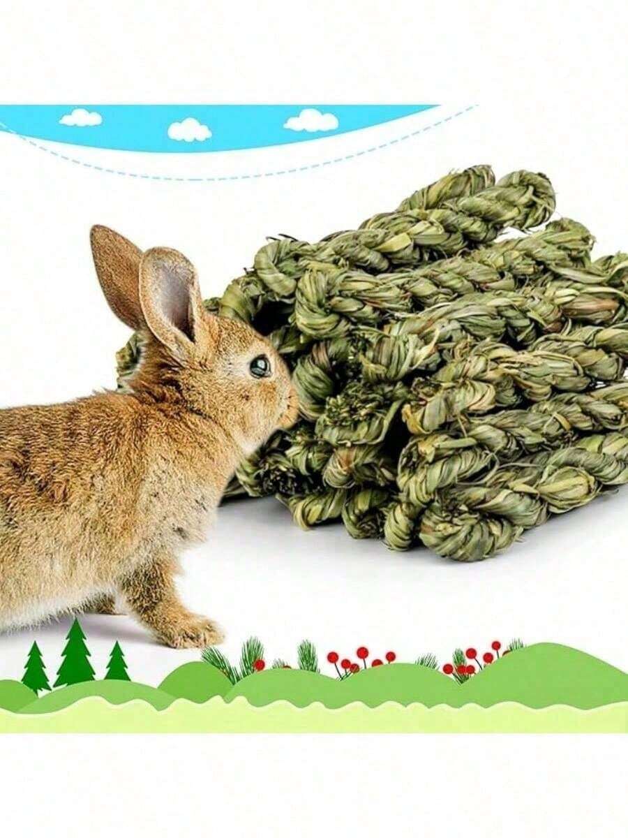 2/3pcs Handmade Woven Seagrass Chew Toys, Natural Grass Ropes For Rabbits, Hamsters And Other Small Pets - Pet Chew Toys, Promote Good Dental Health And Digestion