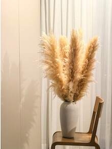 10 件 39.37 英寸蒲苇花束干花适用于家居波西米亚风装饰婚礼拱门插花