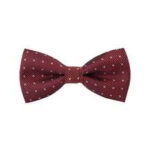 Boys & Girls Polka Dot Bow Tie, Suitable For School, Party, Wedding, Concert, Celebration