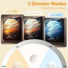 6/3/1 件无线金属壁灯、LED 图片灯、电池供电、无线 LED 绘画灯、壁灯、夜灯、仙女灯、灯、带磁性的无线壁灯、无线聚光灯、带遥控器可调光的展示灯聚光灯、定时器、3 种照明模式艺术展示灯用于相框艺术品肖像、墙壁装饰冰球灯 150mAh 遥控器