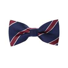 Boys & Girls Polka Dot Bow Tie, Suitable For School, Party, Wedding, Concert, Celebration