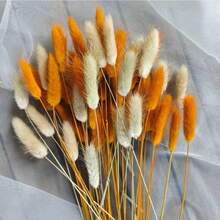 30/59/80/119 Pcs Natural Dried Rabbit Tail Flowers & Reed, Suitable For Bohemian Decor, Home, Wedding, DIY Crafts - Multicolor - View 9