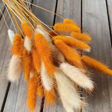 30/59/80/119 Pcs Natural Dried Rabbit Tail Flowers & Reed, Suitable For Bohemian Decor, Home, Wedding, DIY Crafts - Multicolor - View 5