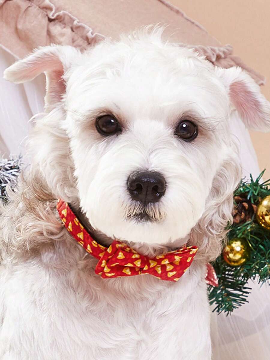 Christmas Pet Collar, Santa Claus Candy Bow Print Cat Dog Collar, Christmas Decorative Collar
