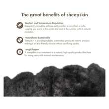 Real Sheepskin Rug 4x6 Ft | Sheepskin Rugs For Living Room And Sofa | Bedside Rugs For Bedrooms | Large Fluffy Rug Is Breathable & Heat-Regulating In Color Dark Grey - Multicolor 847 - View 3