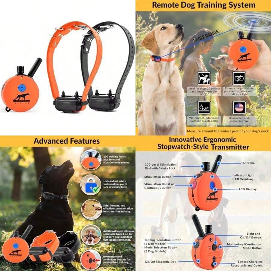 Pet Basic Dog Collars - Type6 - View 1