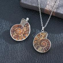 قلادة طبيعية من الصدف البحري، مجوهرات من الأحجار الأصلية للرجال والنساء، قلادة حجر بحري، هدية فريدة بطراز شاطئي - حجر المحارة - مشاهدة 7