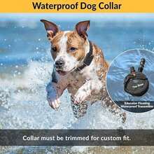 Educator Collar de entrenamiento para perros, control remoto, 100 niveles de estimulación, sensación de golpeo, luz nocturna, impermeable, recargable, 1 milla, negro(Negro 1 Mile 1 Dog) - Tipo 8 - Ver 6