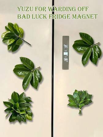 1pc Citrus Leaf Auspicious Acrylic Fridge Magnet, Creative Quirky Gift, Fridge Decor, Suitable For Home, Travel, Living Room, Bedroom, Bathroom, Dorm