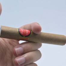 2/4/6pcs Realistic Fake Cigarette & Cigar Models, Silicone Material, April Fool's Day Prank Gag Toys, Halloween Costume Props, Party Scare Toys, Birthday/Christmas/Halloween Gifts - Multicolor - View 7