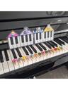 Instrument Accessories