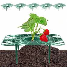 10 PCS Strawberry Plant Support Holder Plastic Strawberry Cradle Lifter For Garden Raised Bed & Container(9.8*7.9*3.9in) - Xanh lá cây-25*20*10cm - Xem 2